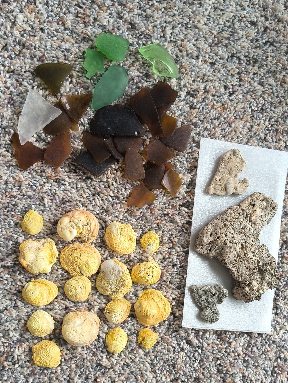 Seaglass & Shell Display